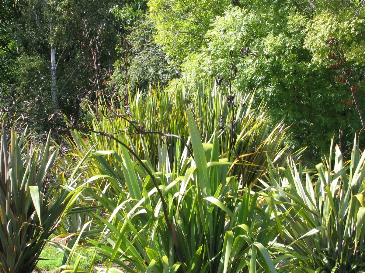 Albums/20060200-New Zealand 2006/20060314-Dunedin/34